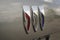 2024 Buick Envision Avenir