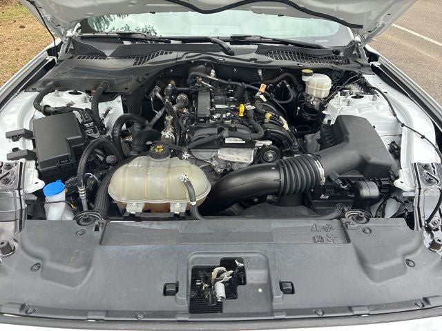 2022 Ford Mustang EcoBoost