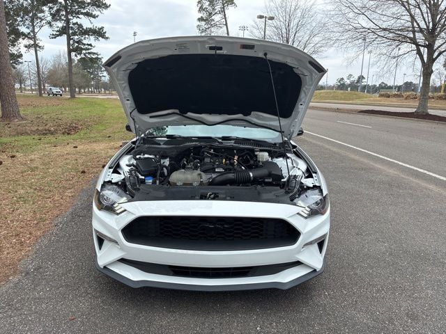 2022 Ford Mustang EcoBoost