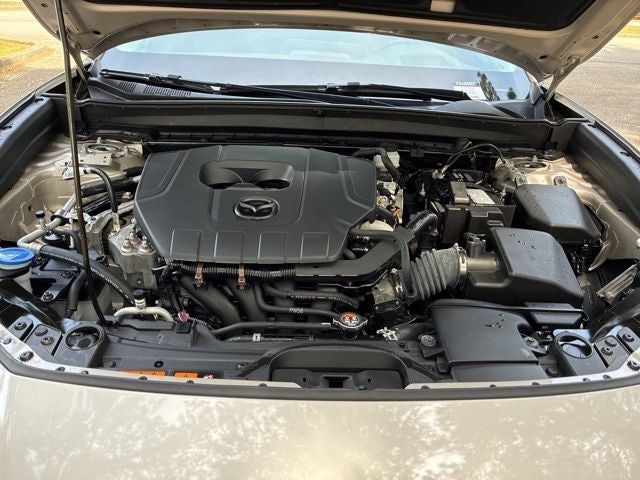 2024 Mazda Mazda CX-30 2.5 S Premium Package